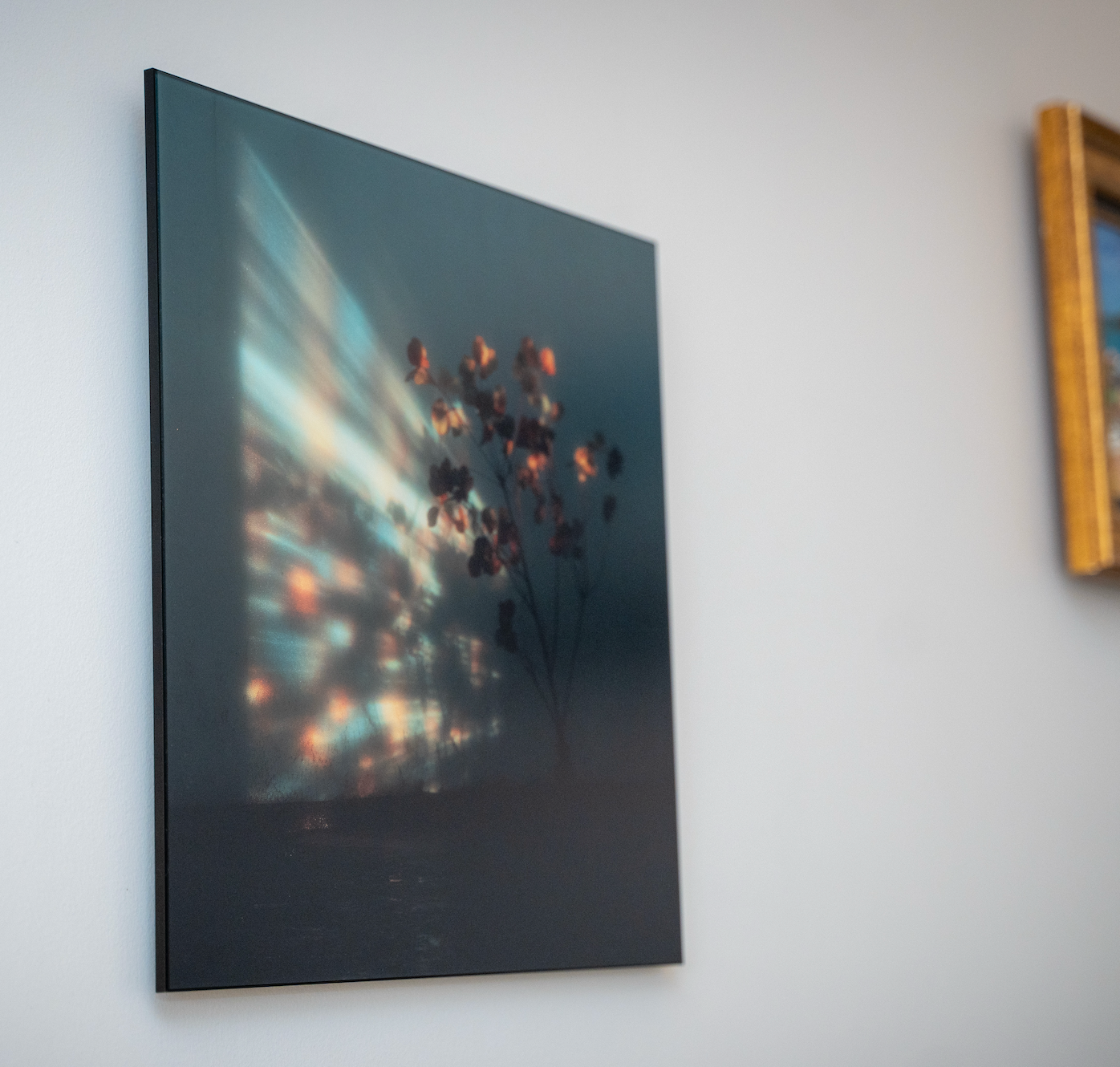 Contemporary art print on matte acrylic mounted on wall, large format botanical wall art, NOA Editions Paris