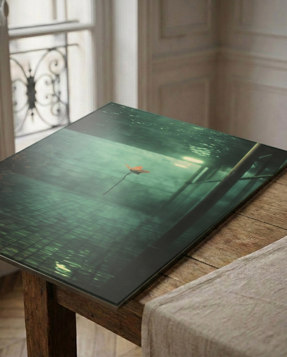 Fine art print on acrylic plexiglass detail, premium quality wall art by NOA Editions Paris